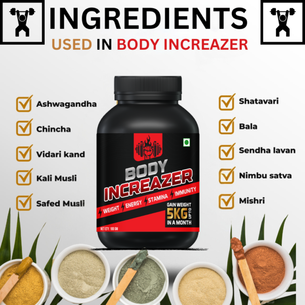 Body Increazer - Image 2